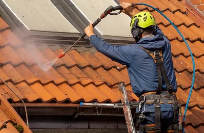 Démoussage et hydrofuge de toiture à Argueil